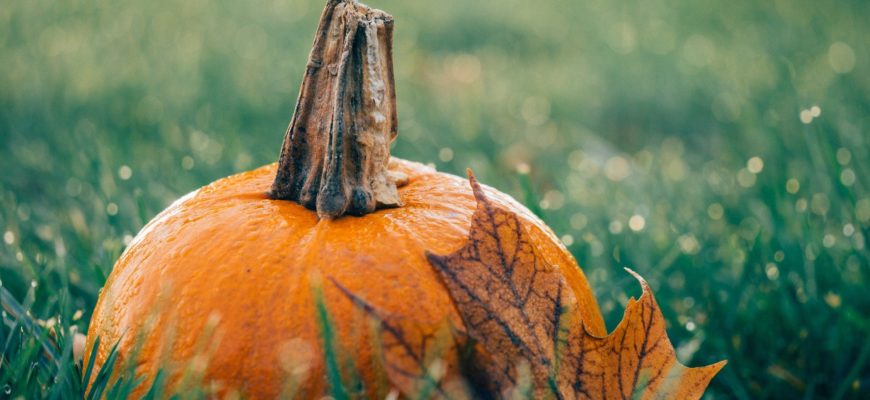 A pumpkin siting in grass alongside a fall leaf